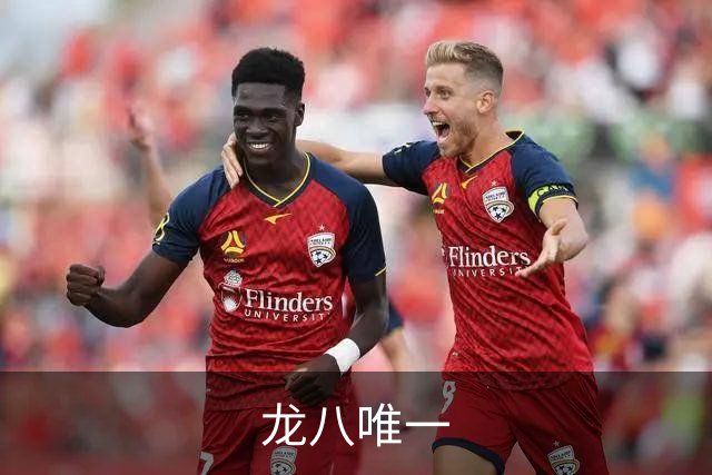 关于龙八唯一